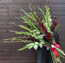  Bouquet Gladiolus“Contrasts of Love”